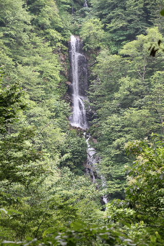 e0064133_1824112.jpg