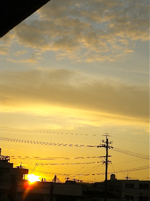 b0027736_22275087.jpg