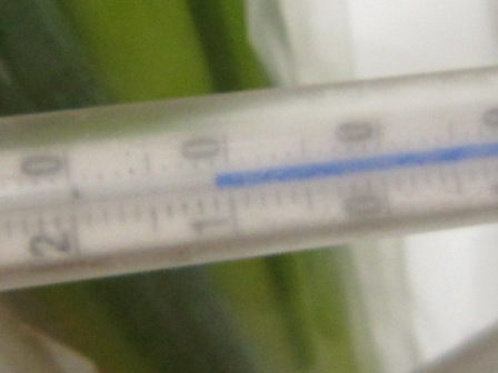 c0025140_2364893.jpg