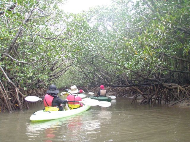 e0134752_203568.jpg