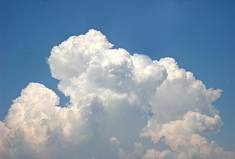 a0001354_1756495.jpg