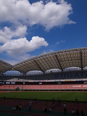 b0204354_20413168.jpg