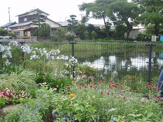 f0062462_2155263.jpg