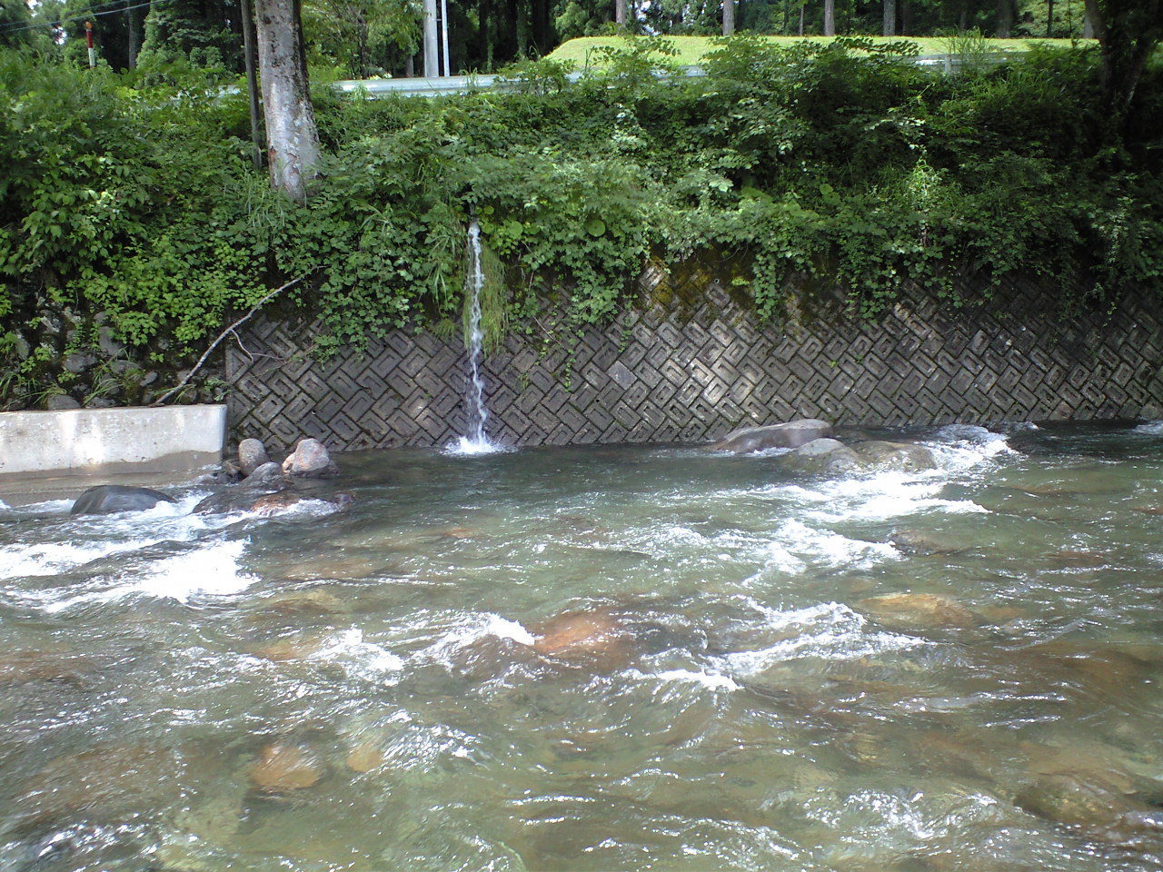 a0093677_19294517.jpg