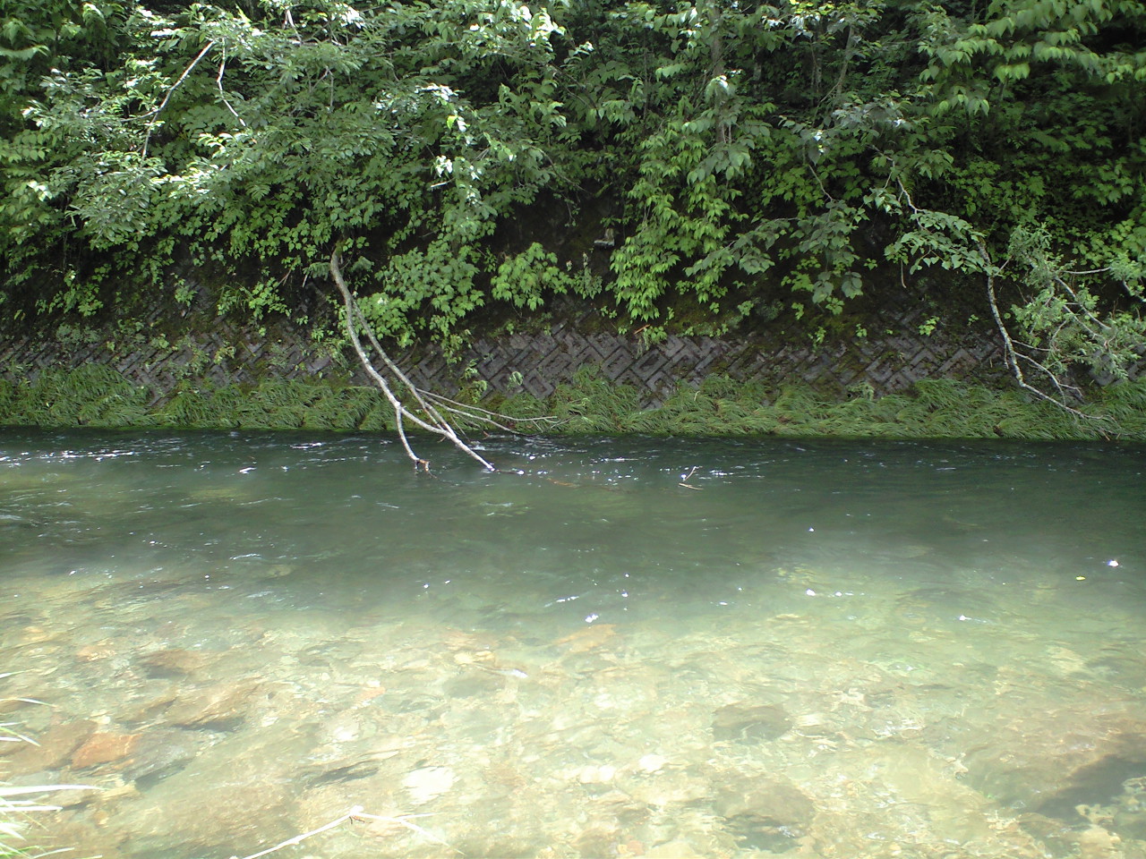 a0093677_19323167.jpg