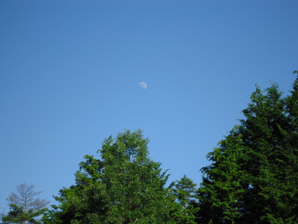 a0199979_171548100.jpg