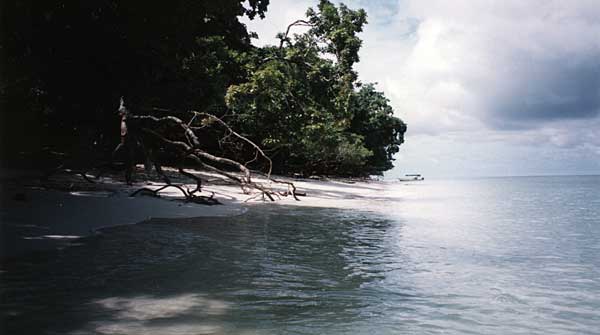 c0045882_230065.jpg