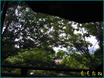 d0044986_23292439.jpg
