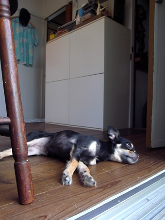 b0087187_2226159.jpg