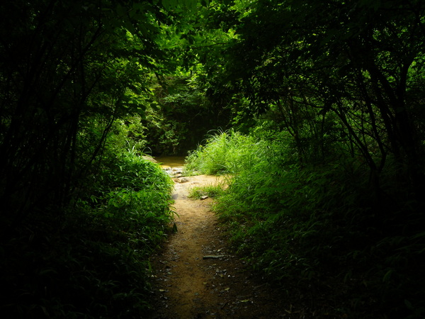 c0190391_22202130.jpg