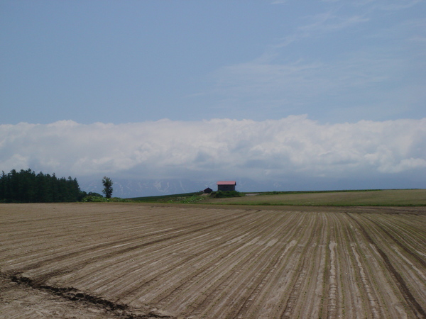 e0111793_16372393.jpg