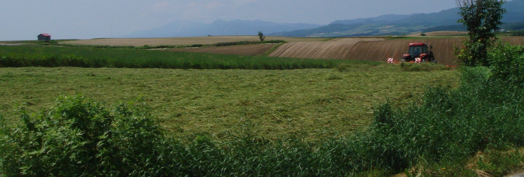 e0111793_1703910.jpg