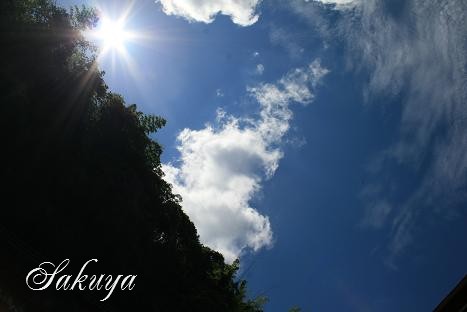 e0122194_1145226.jpg
