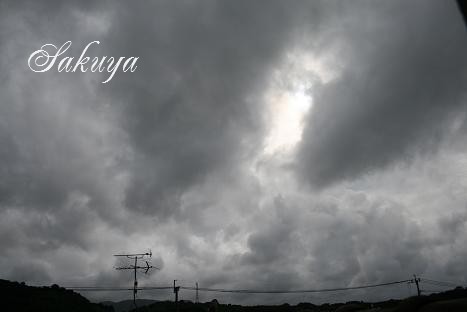 e0122194_13363521.jpg