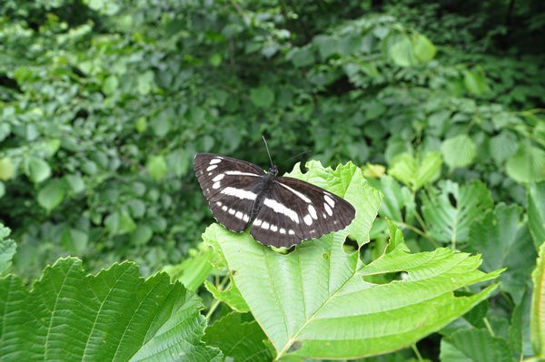 c0049095_20135297.jpg