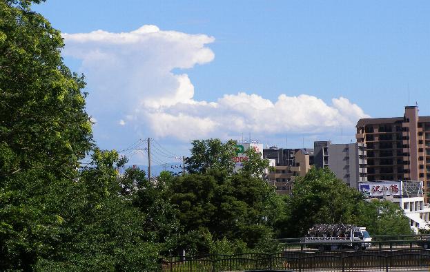 b0212396_1359531.jpg