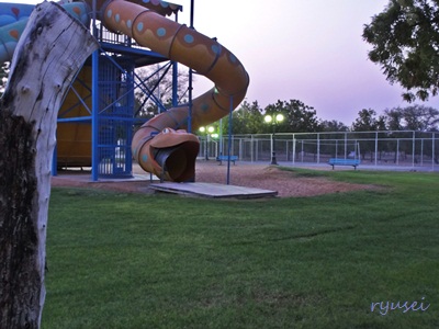 f0053297_132339.jpg