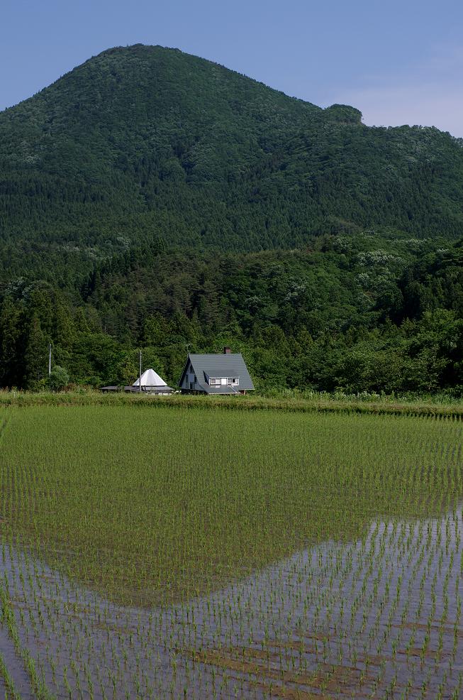 f0081398_1614896.jpg