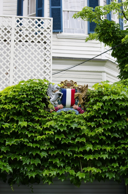 b0138101_21255590.jpg