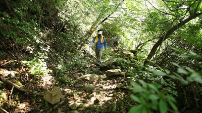f0124303_2238132.jpg