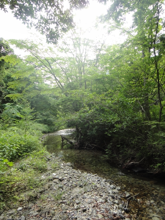 b0172805_953167.jpg
