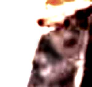e0103408_192695.jpg