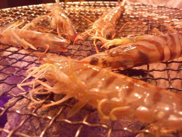 d0016409_1315996.jpg