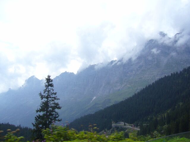 a0207111_549519.jpg