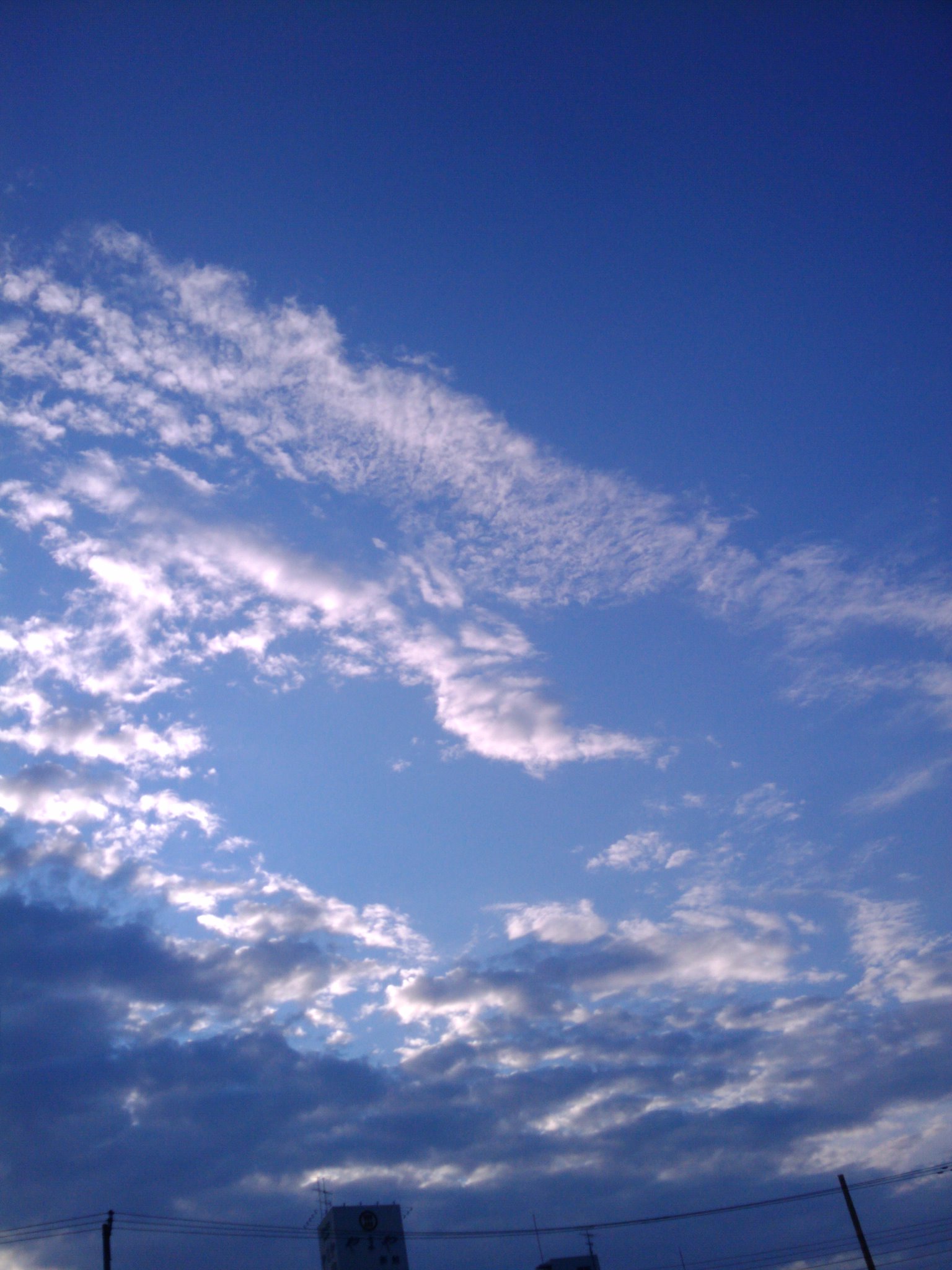 d0119217_2564340.jpg