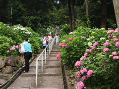 a0157619_21561261.jpg