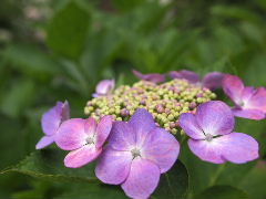 a0157619_21563650.jpg