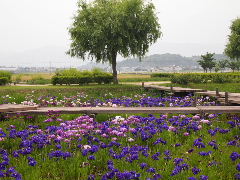a0157619_21571661.jpg