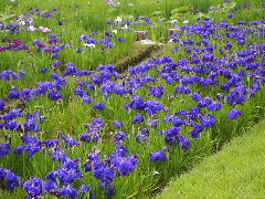 a0157619_21573185.jpg