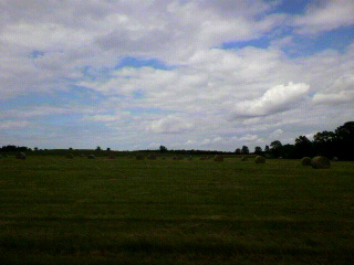 f0036223_10452679.jpg