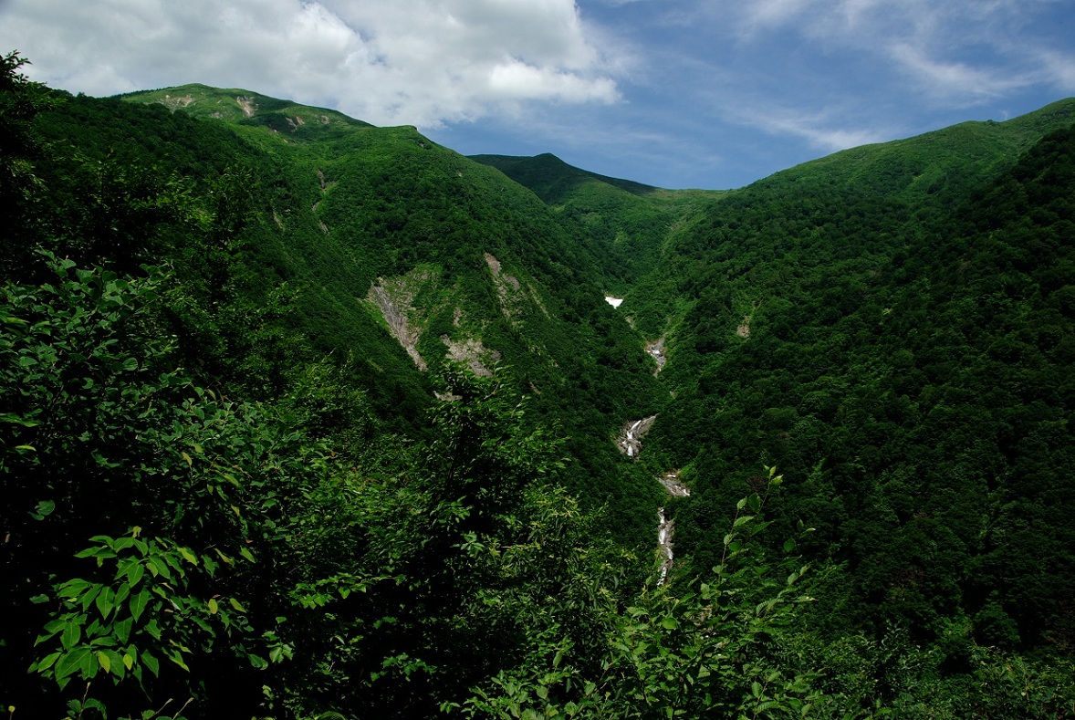 b0062024_17464599.jpg
