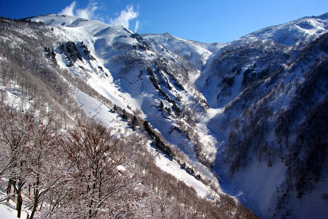 b0062024_1747384.jpg