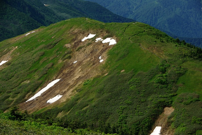 b0062024_7145166.jpg