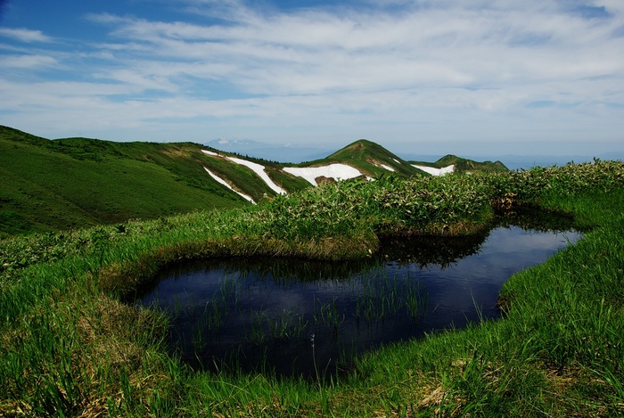 b0062024_7334919.jpg