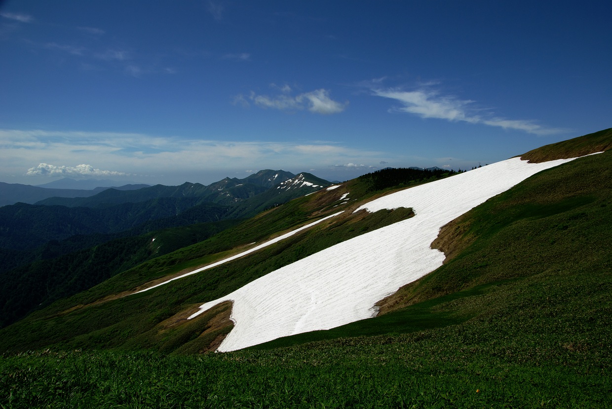 b0062024_7335942.jpg