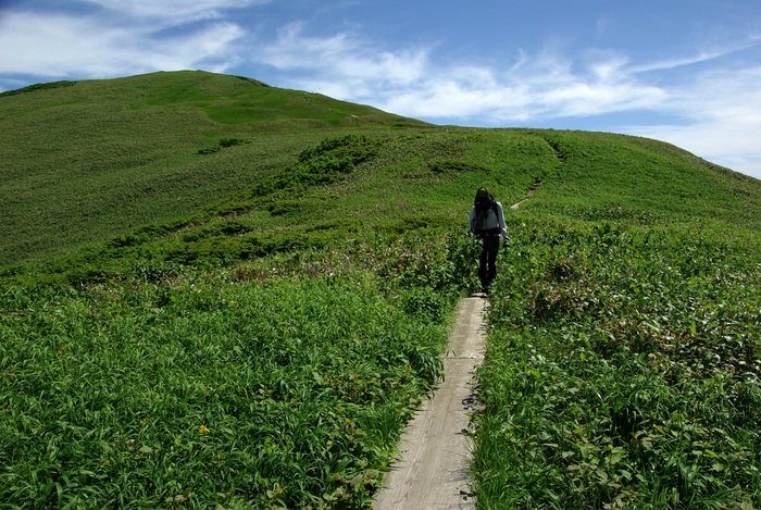b0062024_734657.jpg