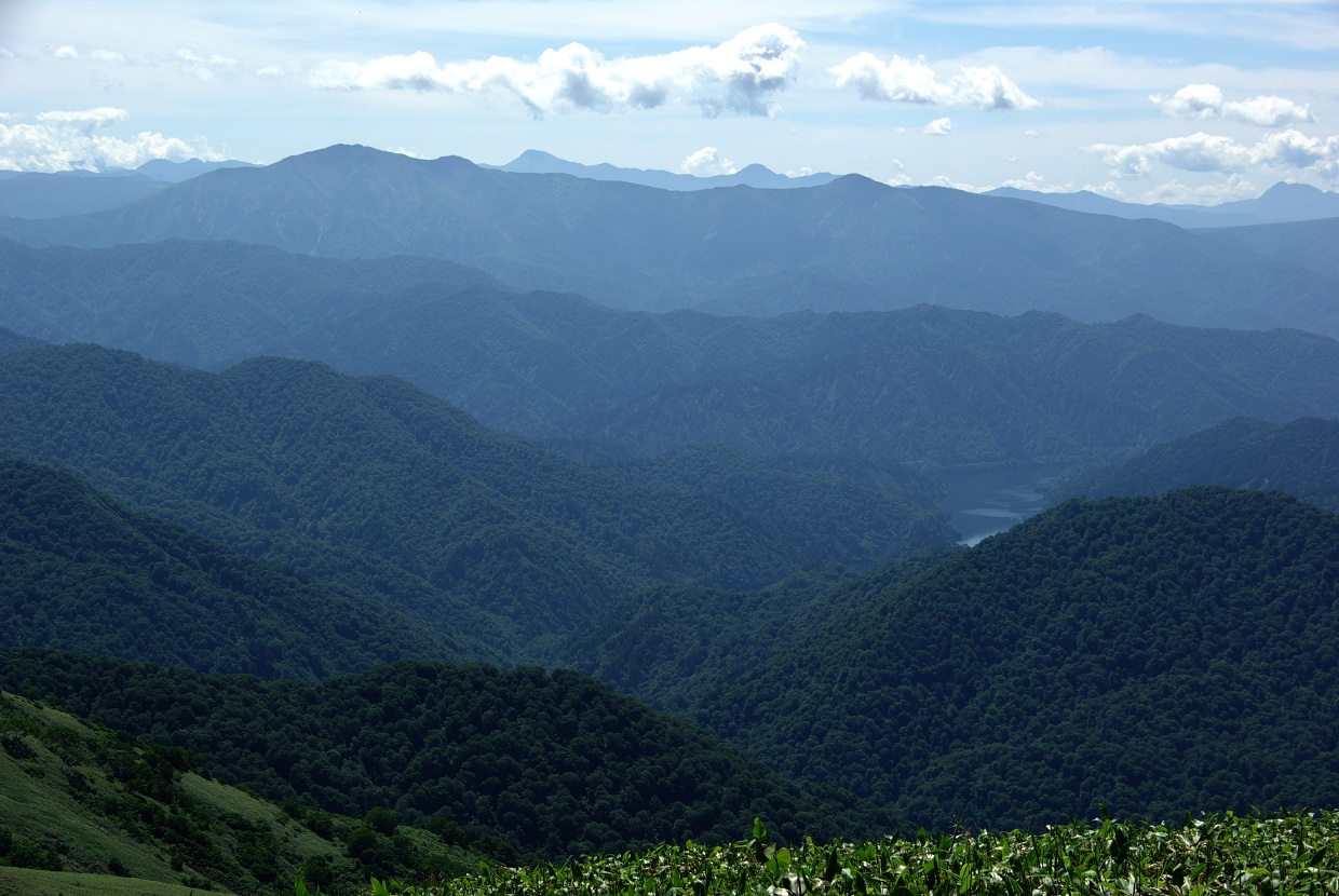 b0062024_7354235.jpg