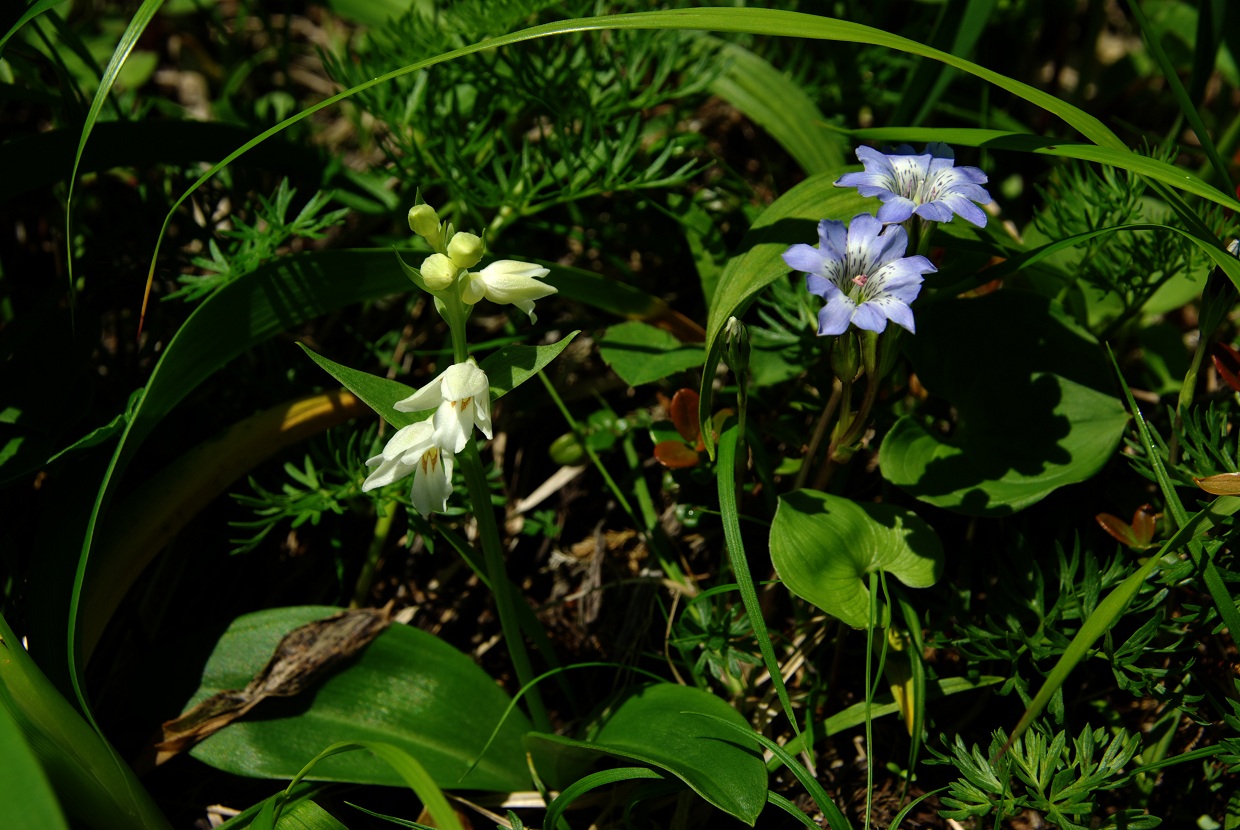 b0062024_7394677.jpg