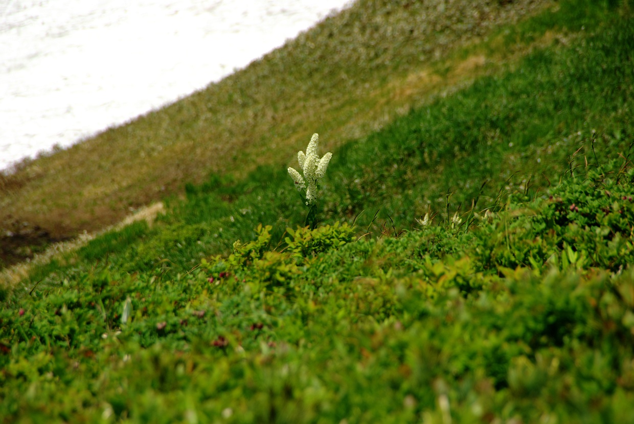 b0062024_7404571.jpg