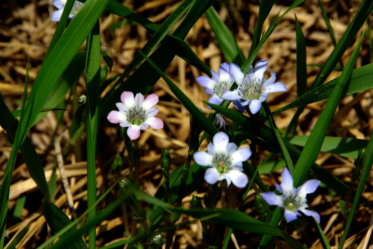 b0062024_7441881.jpg
