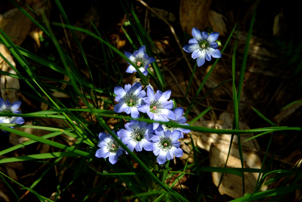 b0062024_7442836.jpg
