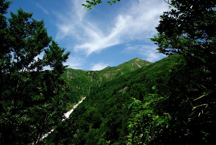 b0062024_7471392.jpg