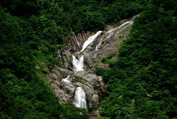 b0062024_7493280.jpg