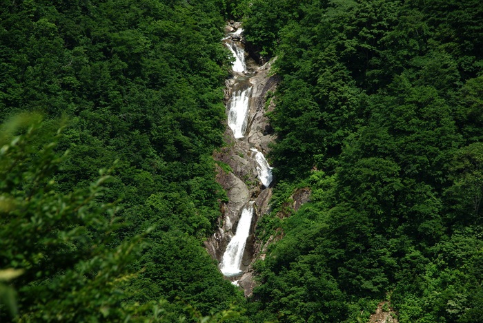 b0062024_7494266.jpg