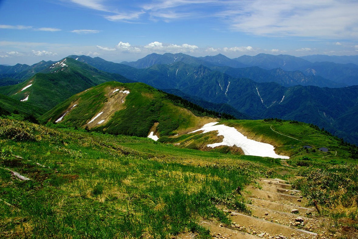 b0062024_843668.jpg