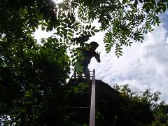 f0022024_2341423.jpg